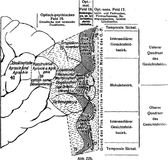 Hepatic Encephalopathy Grading